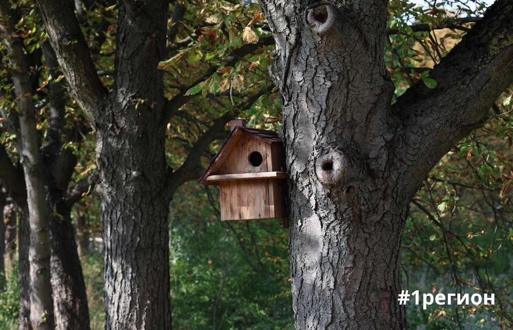 Природа в дендрарии Бреста