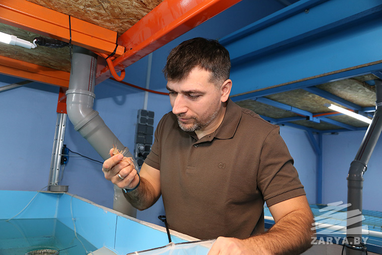 Предприниматель Владимир Готовчиц.