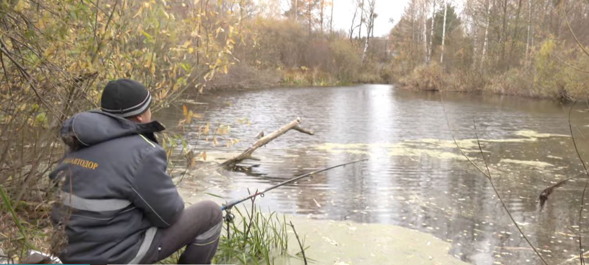 Рыба, замор, Дрогичин, ГРЭС