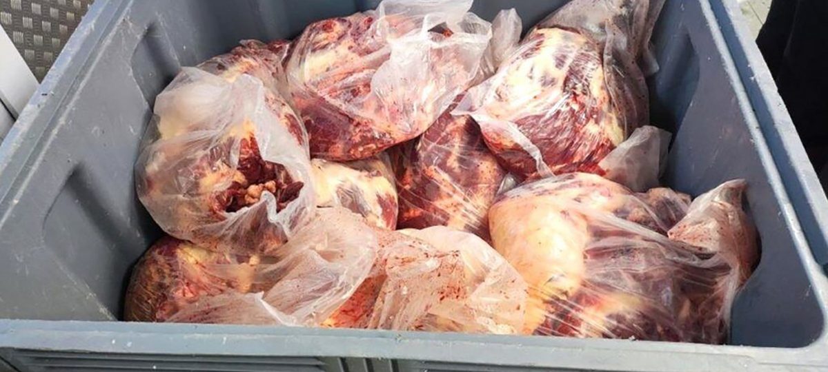 замороженное мясо