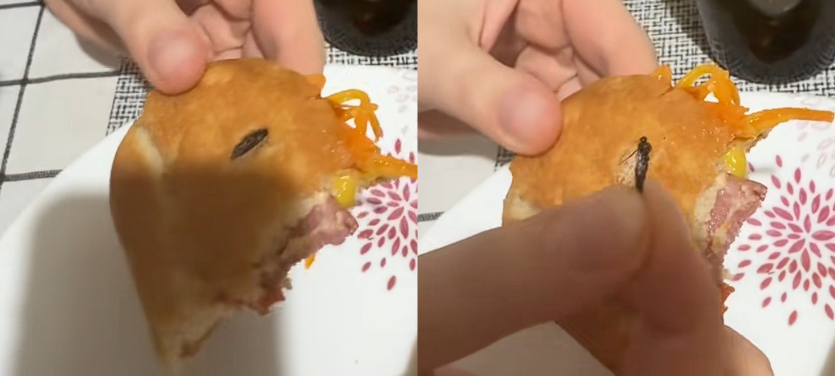 тараканы на бутерброде