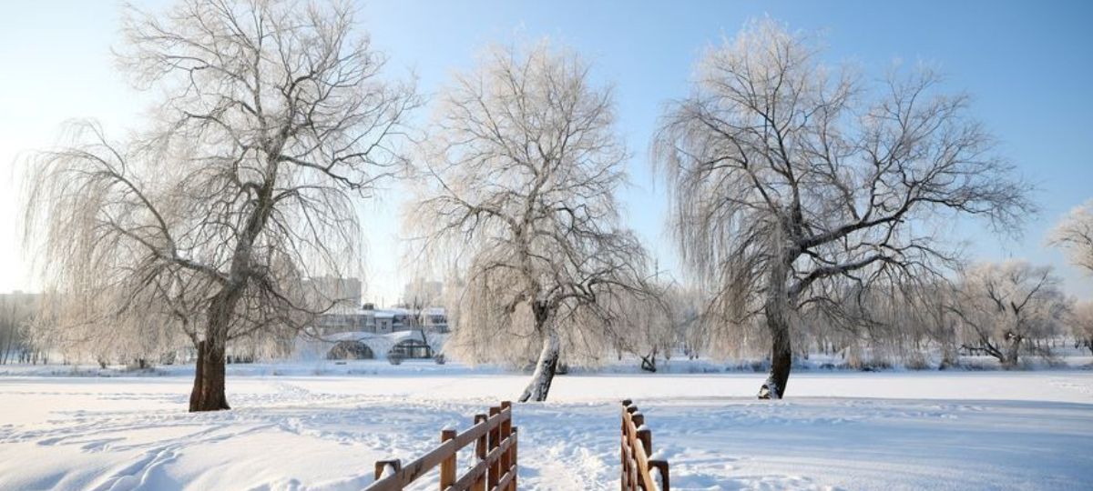 Беларусь, морозы