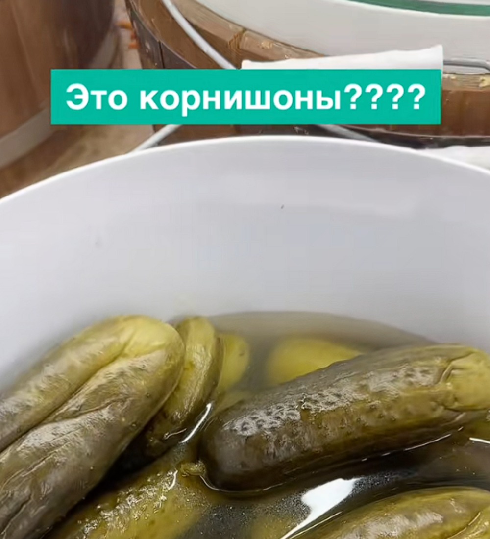 огурцы в ведре