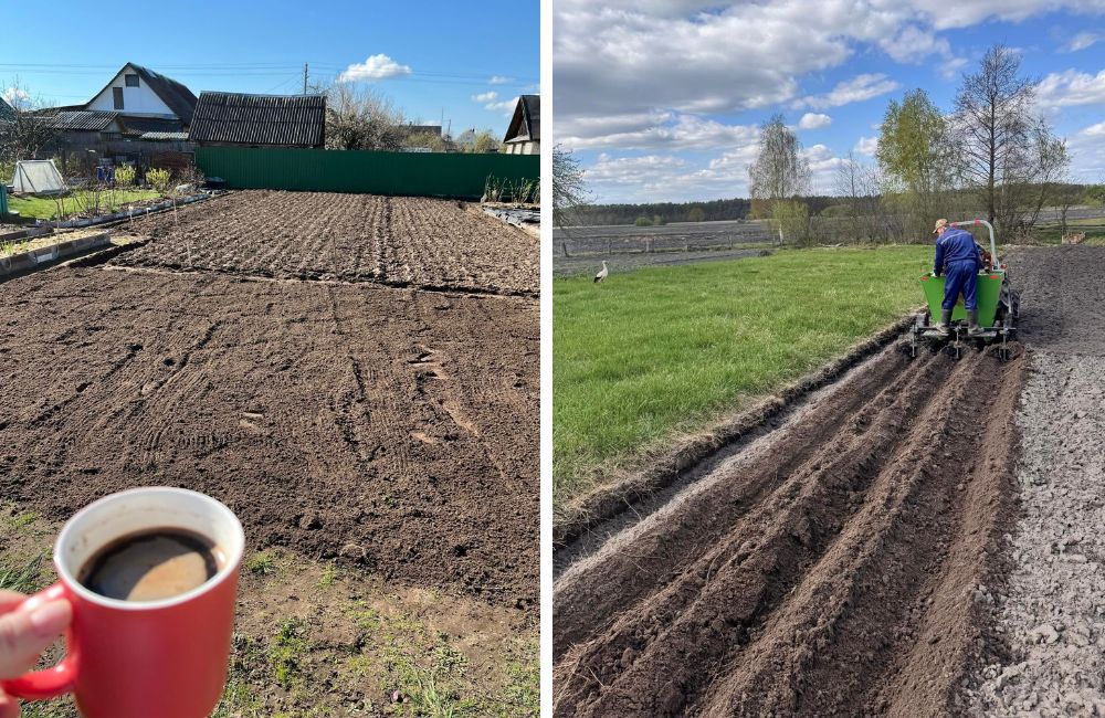 Посадка картошки на Полесье