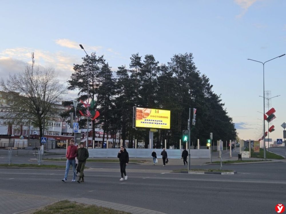 Место, где хотели вырубить деревья в Борисове. Фото: «Минская правда»