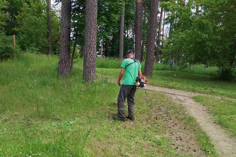 Косцы травы в Борисове. Фото: газета «Адзінства»