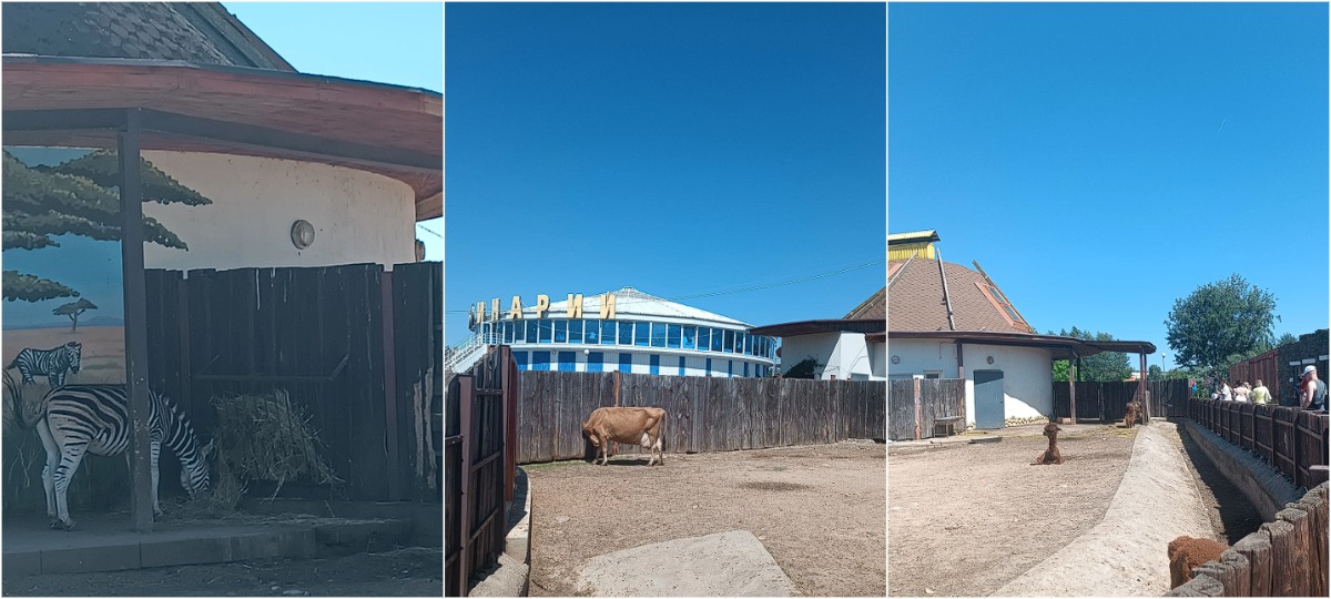 животные в зоопарке